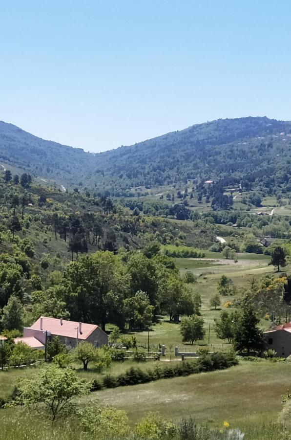 Turismo Rural Macieira Brava กัวร์ดา ภายนอก รูปภาพ