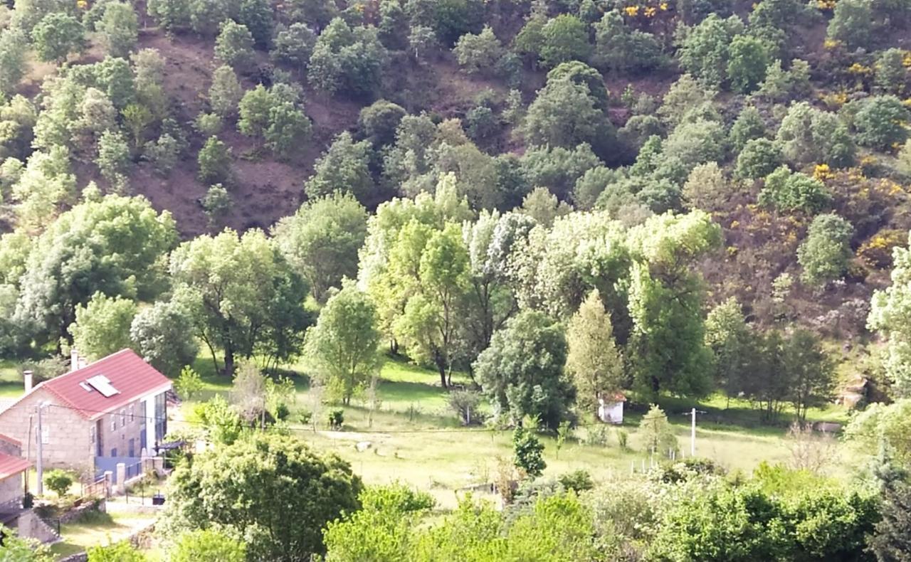 Turismo Rural Macieira Brava กัวร์ดา ภายนอก รูปภาพ